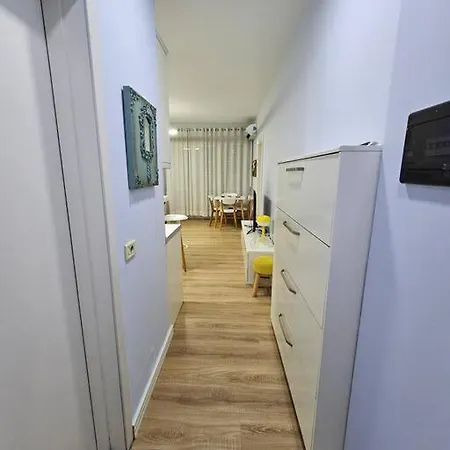 With Balcony 1 公寓 *